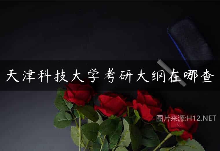 天津科技大学考研大纲在哪查