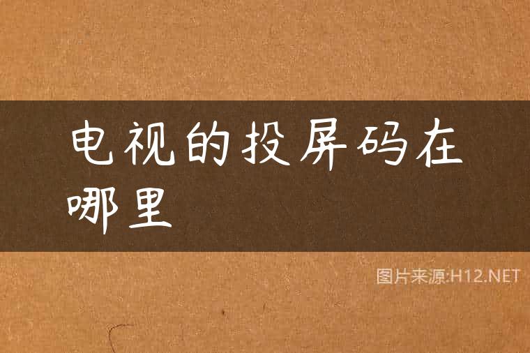 电视的投屏码在哪里