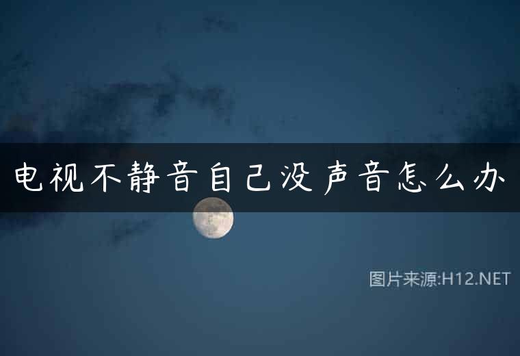 电视不静音自己没声音怎么办
