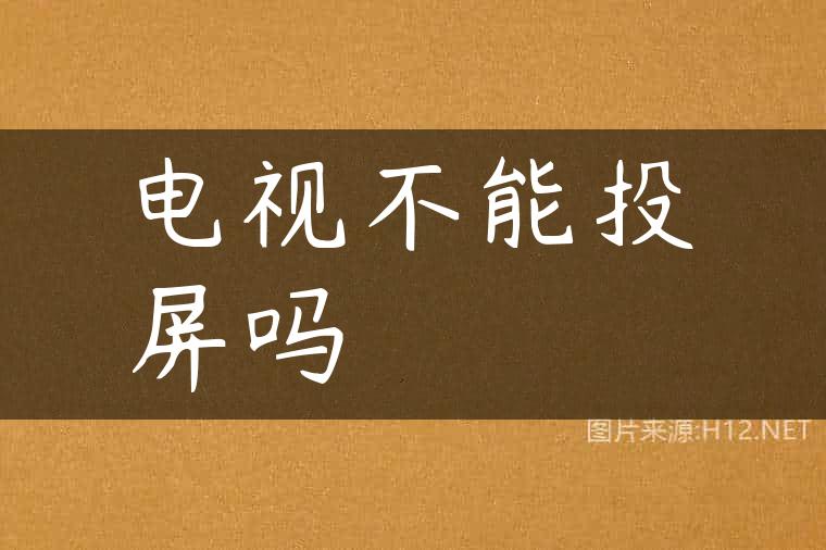 电视不能投屏吗