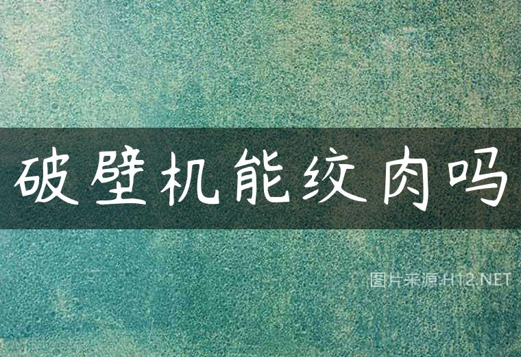 破壁机能绞肉吗