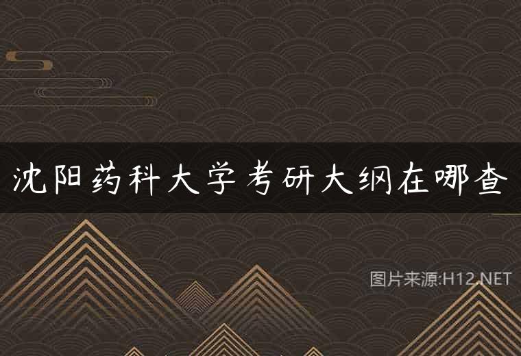 沈阳药科大学考研大纲在哪查