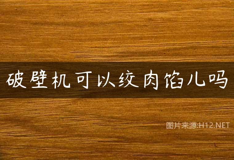 破壁机可以绞肉馅儿吗