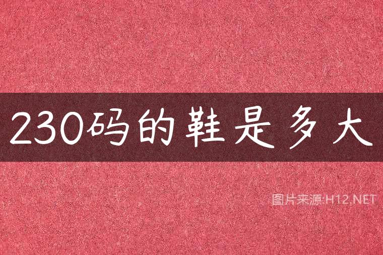 230码的鞋是多大