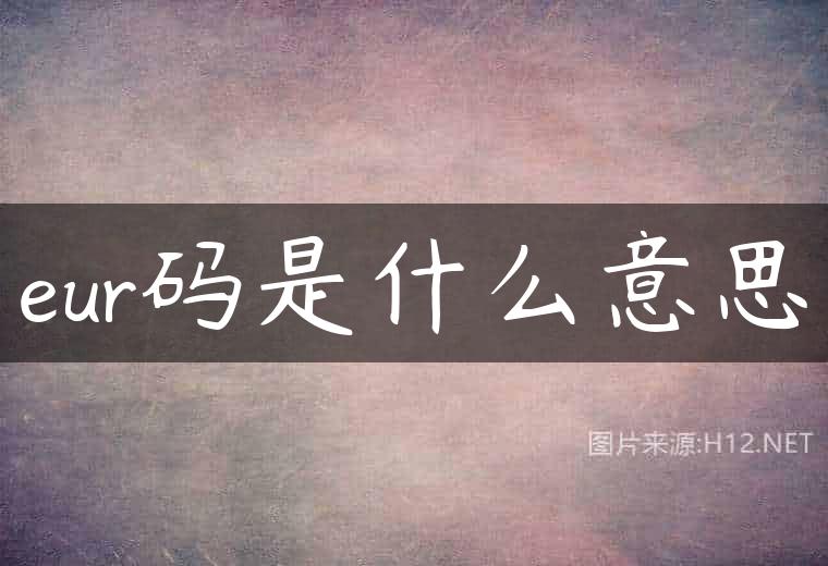 eur码是什么意思