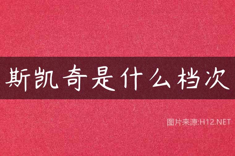 斯凯奇是什么档次