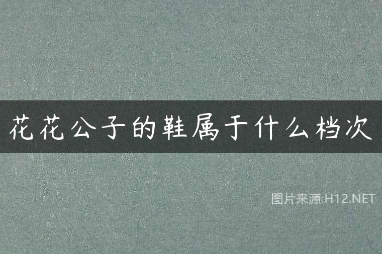 花花公子的鞋属于什么档次