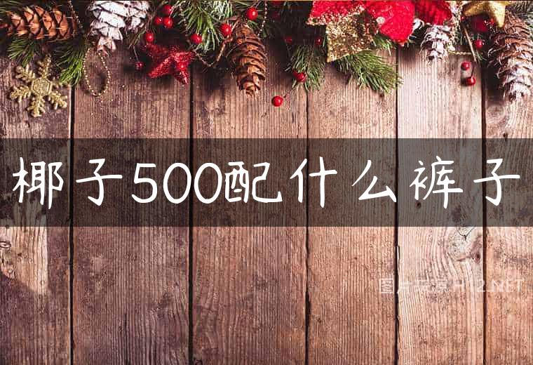 椰子500配什么裤子