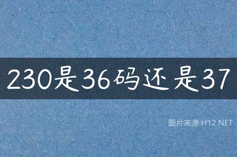 230是36码还是37