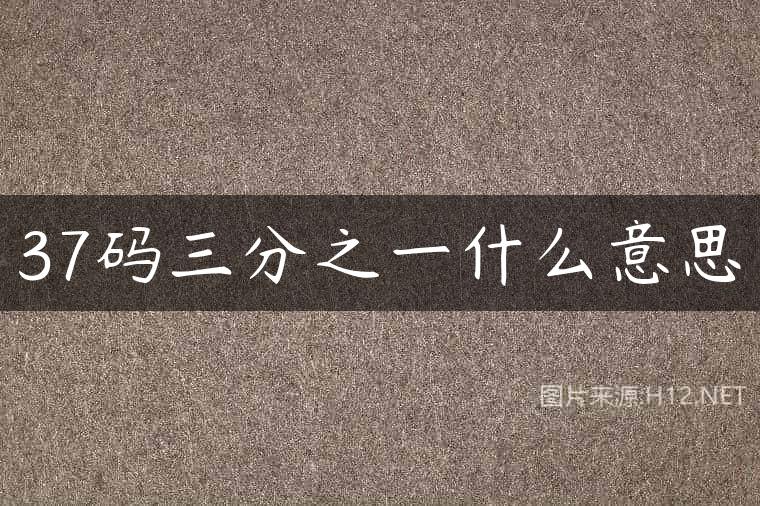 37码三分之一什么意思