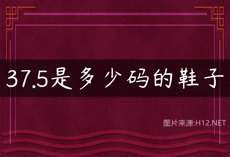 37.5是多少码的鞋子