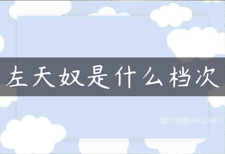 左天奴是什么档次