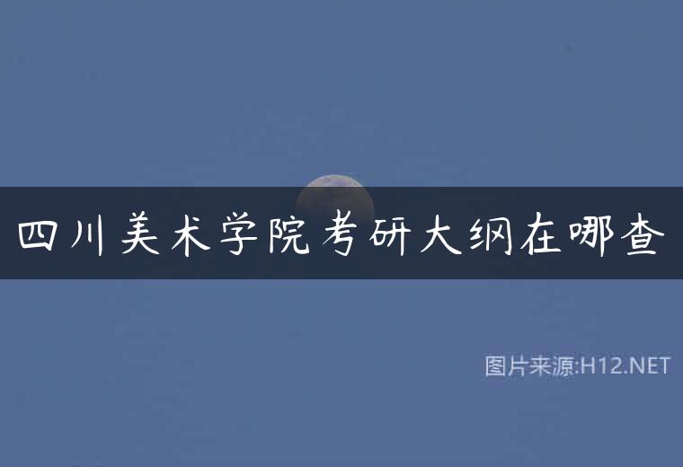 四川美术学院考研大纲在哪查