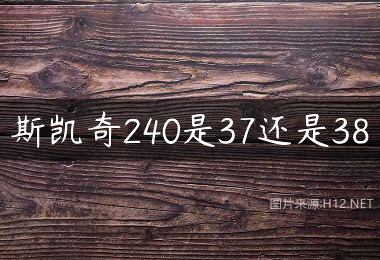 斯凯奇240是37还是38