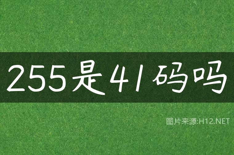 255是41码吗