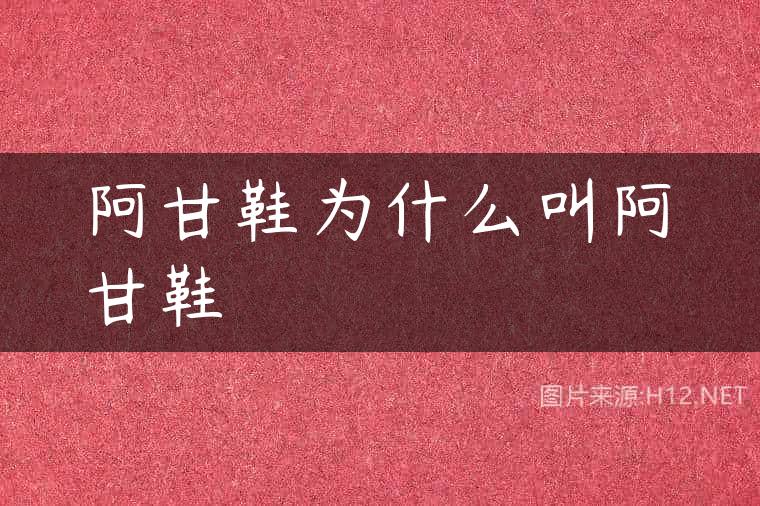 阿甘鞋为什么叫阿甘鞋