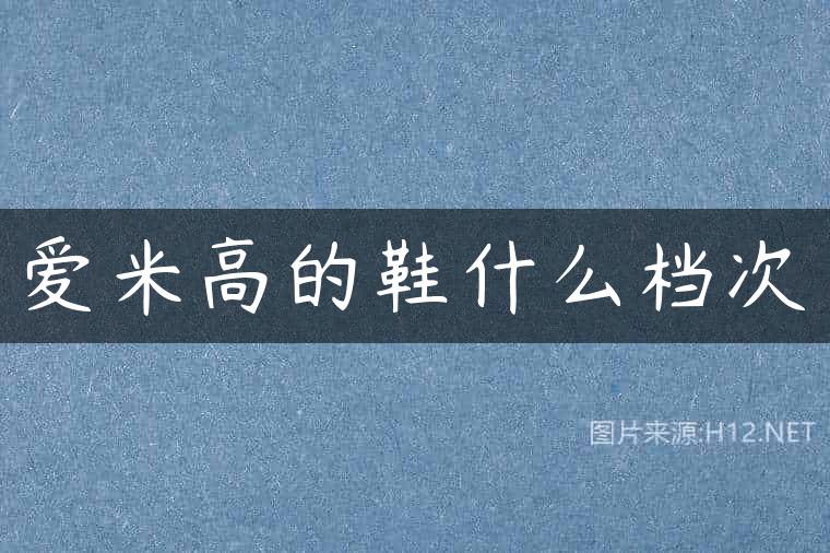 爱米高的鞋什么档次
