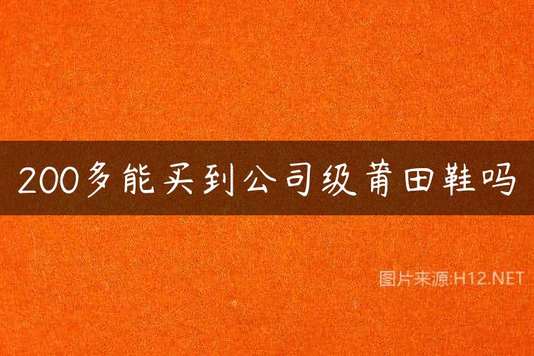 200多能买到公司级莆田鞋吗