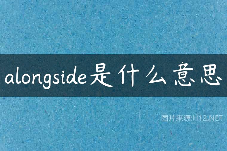 alongside是什么意思
