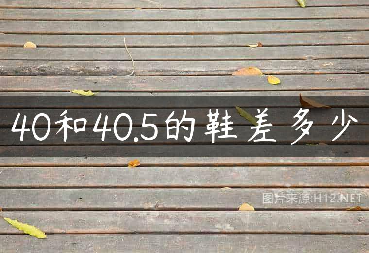 40和40.5的鞋差多少