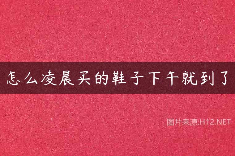 怎么凌晨买的鞋子下午就到了