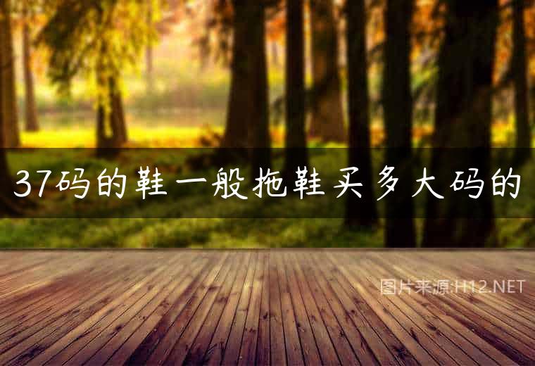 37码的鞋一般拖鞋买多大码的