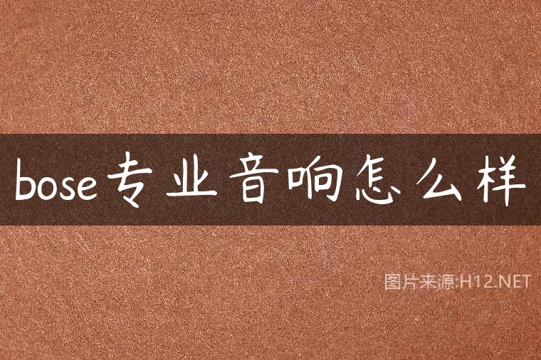 bose专业音响怎么样