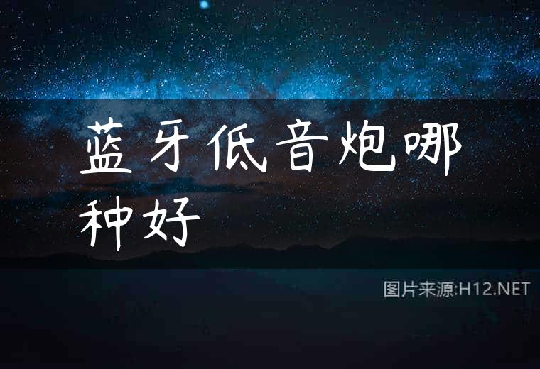 蓝牙低音炮哪种好