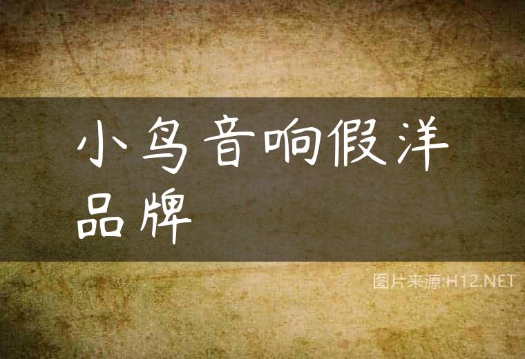 小鸟音响假洋品牌