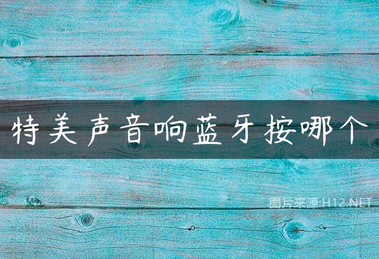 特美声音响蓝牙按哪个