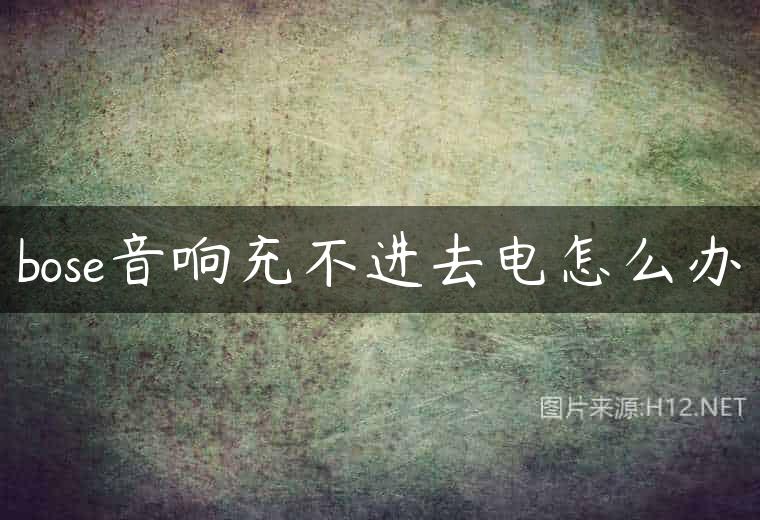 bose音响充不进去电怎么办