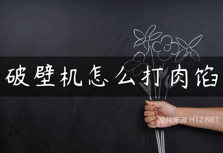 破壁机怎么打肉馅