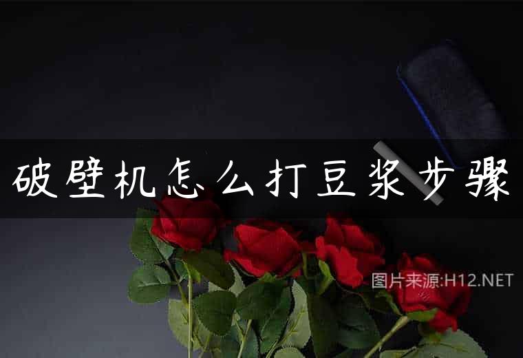 破壁机怎么打豆浆步骤