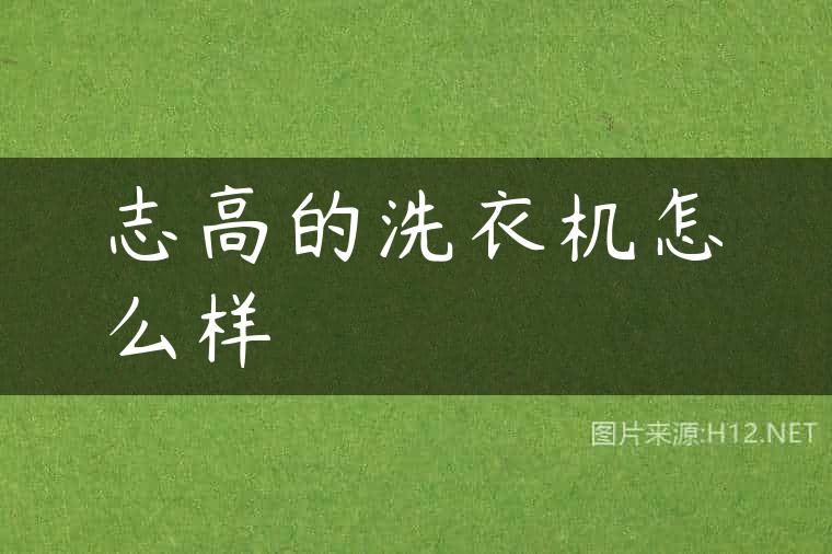 志高的洗衣机怎么样