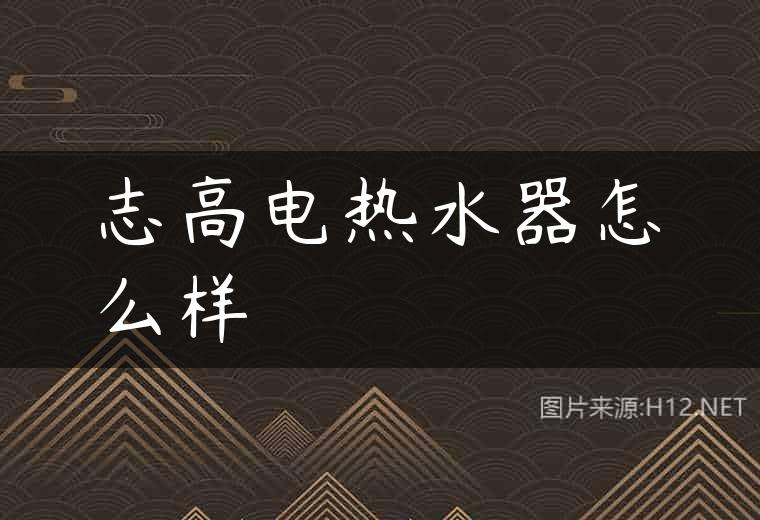 志高电热水器怎么样