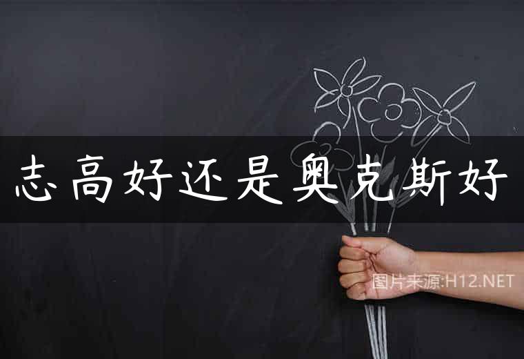 志高好还是奥克斯好