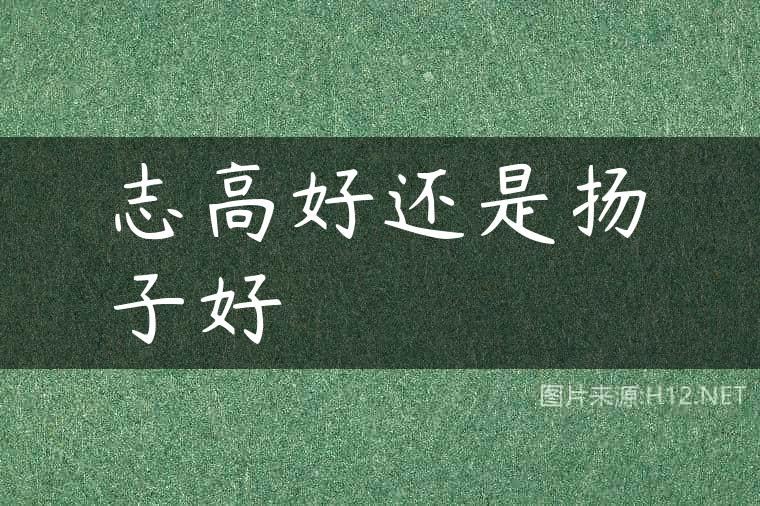 志高好还是扬子好
