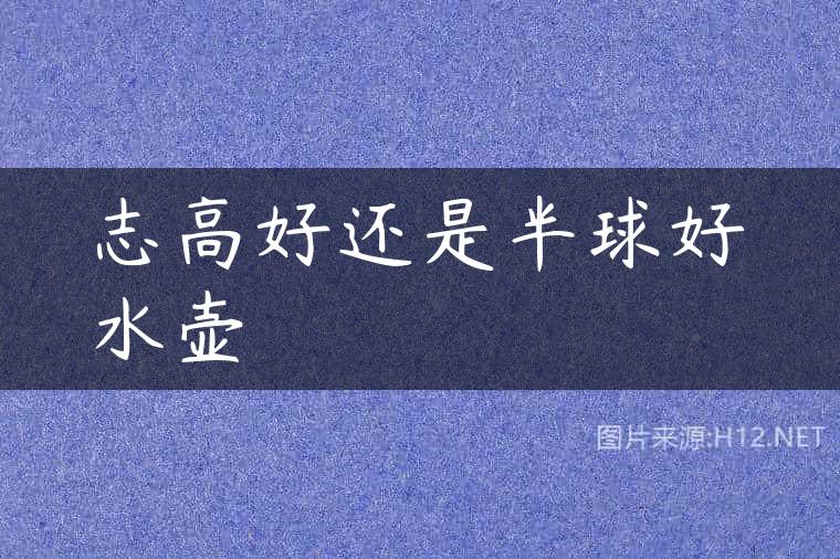 志高好还是半球好水壶
