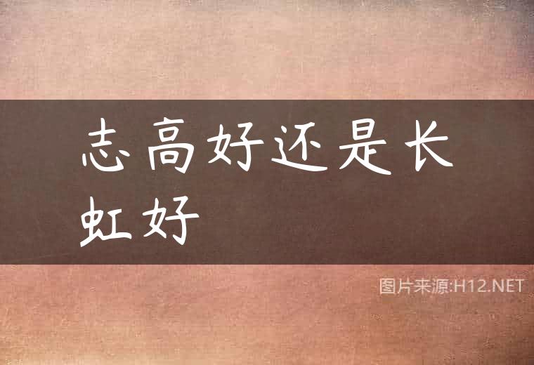 志高好还是长虹好