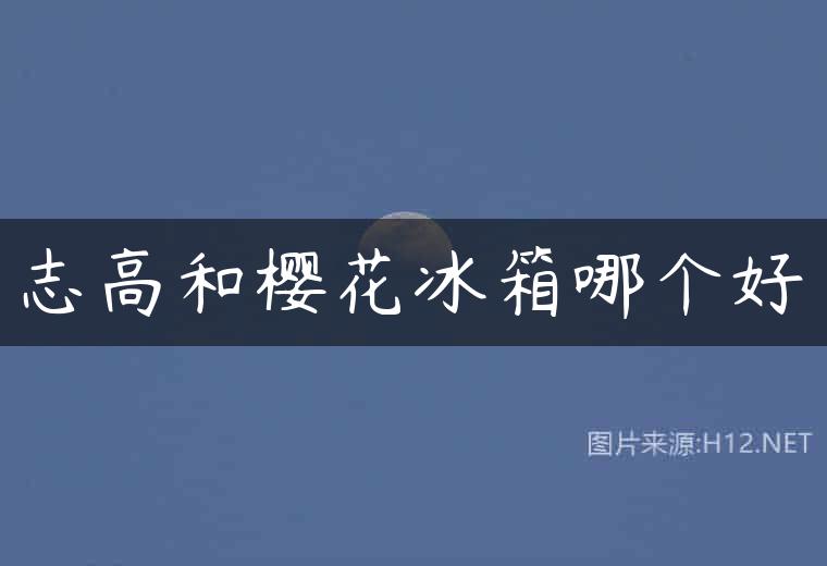 志高和樱花冰箱哪个好