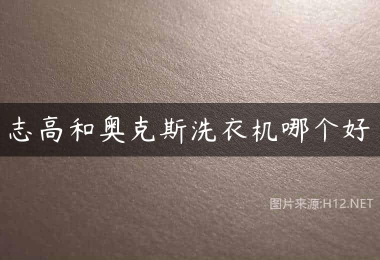 志高和奥克斯洗衣机哪个好