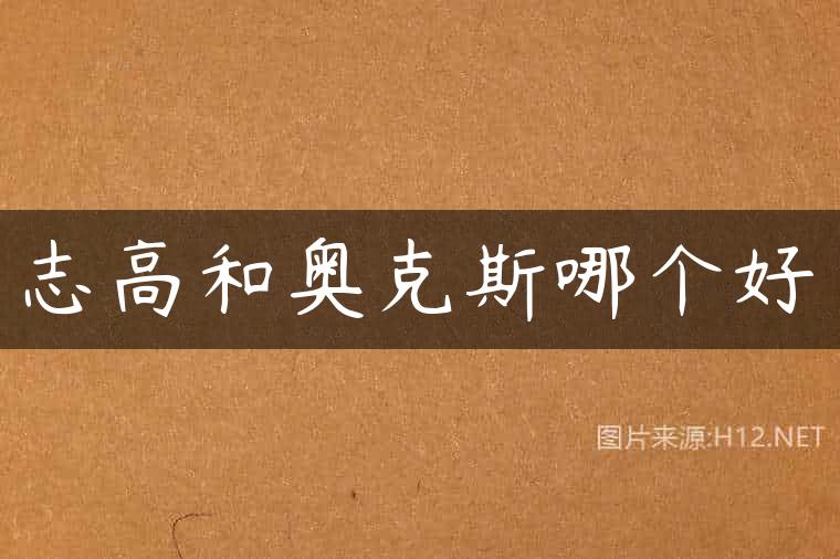 志高和奥克斯哪个好