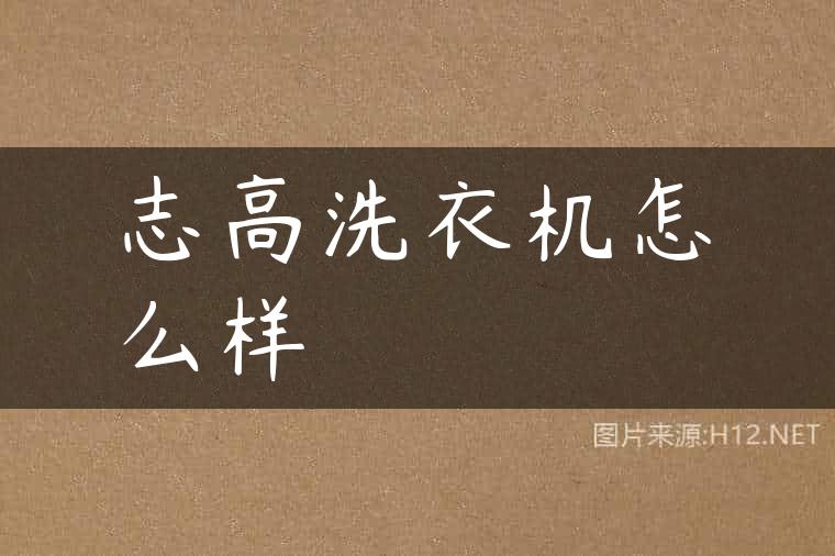 志高洗衣机怎么样