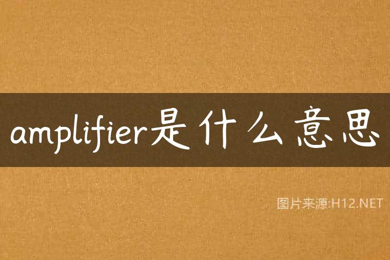 amplifier是什么意思