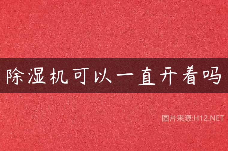 除湿机可以一直开着吗