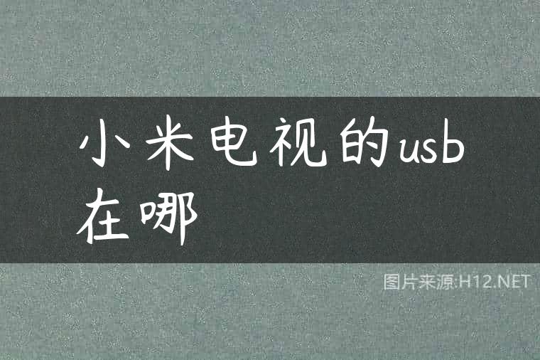 小米电视的usb在哪
