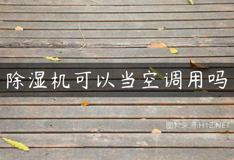 除湿机可以当空调用吗
