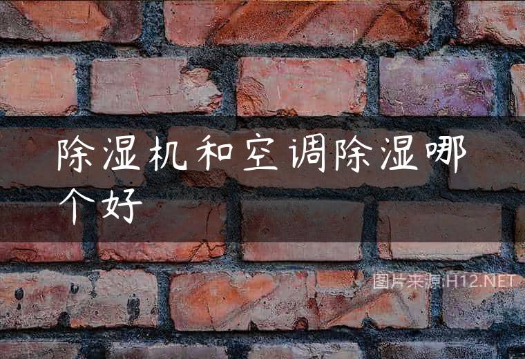 除湿机和空调除湿哪个好