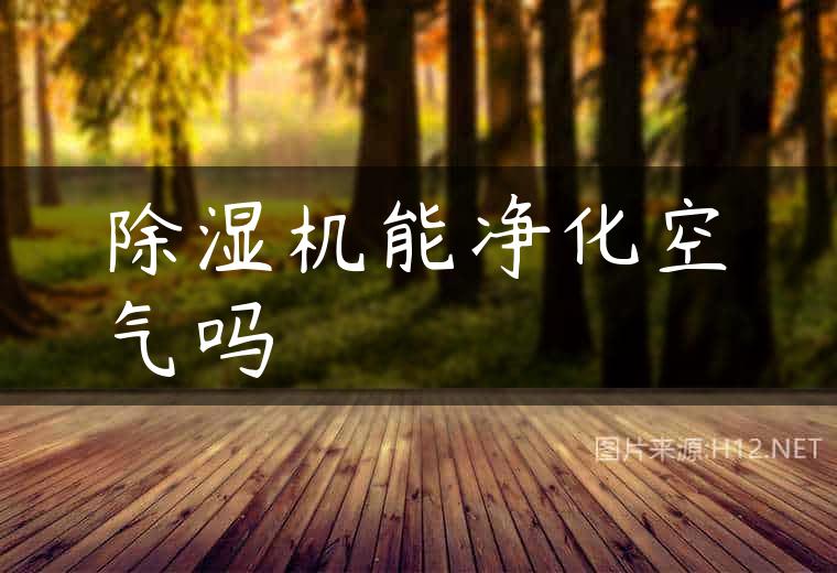 除湿机能净化空气吗