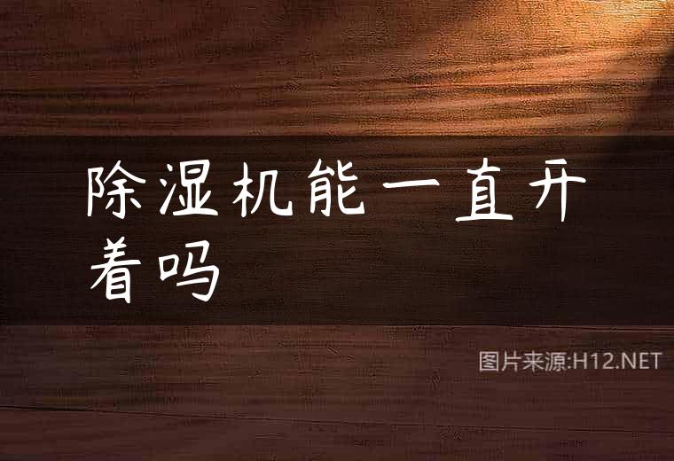 除湿机能一直开着吗